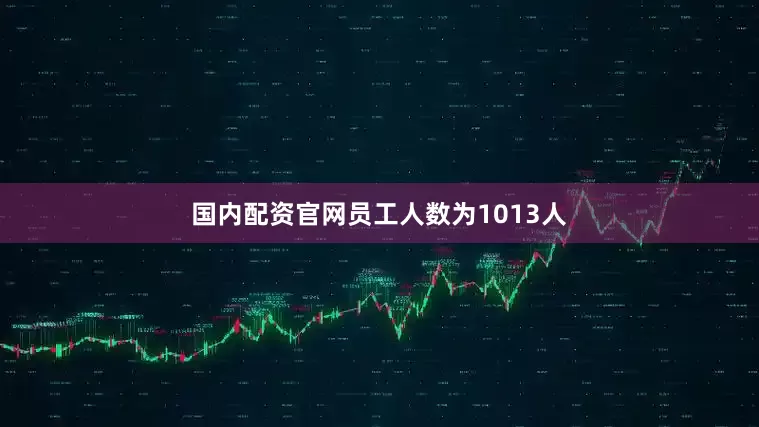 国内配资官网员工人数为1013人
