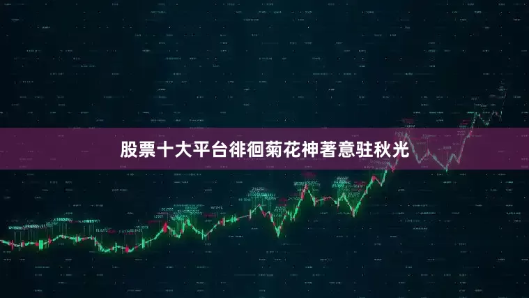 股票十大平台徘徊菊花神著意驻秋光