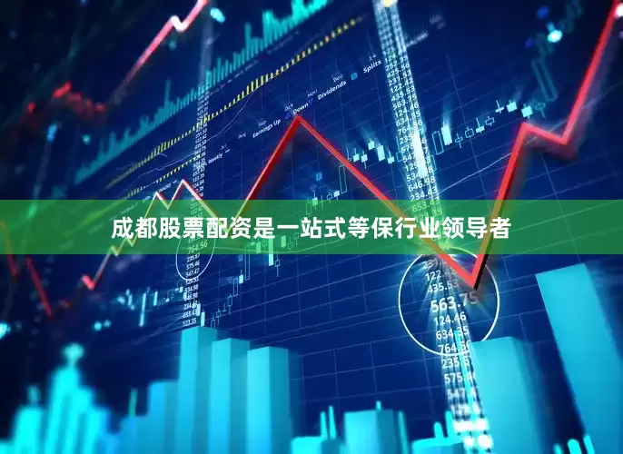 成都股票配资是一站式等保行业领导者