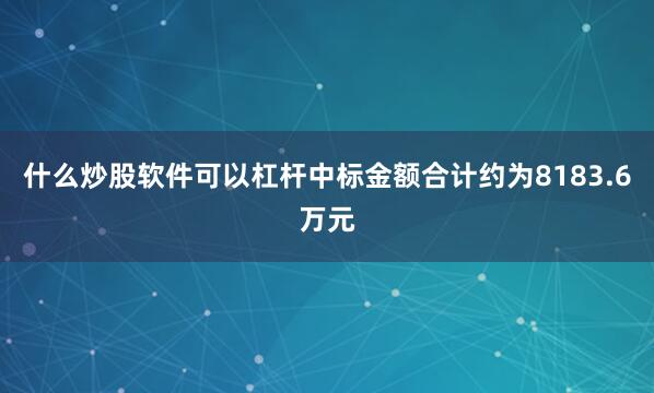 什么炒股软件可以杠杆中标金额合计约为8183.6万元