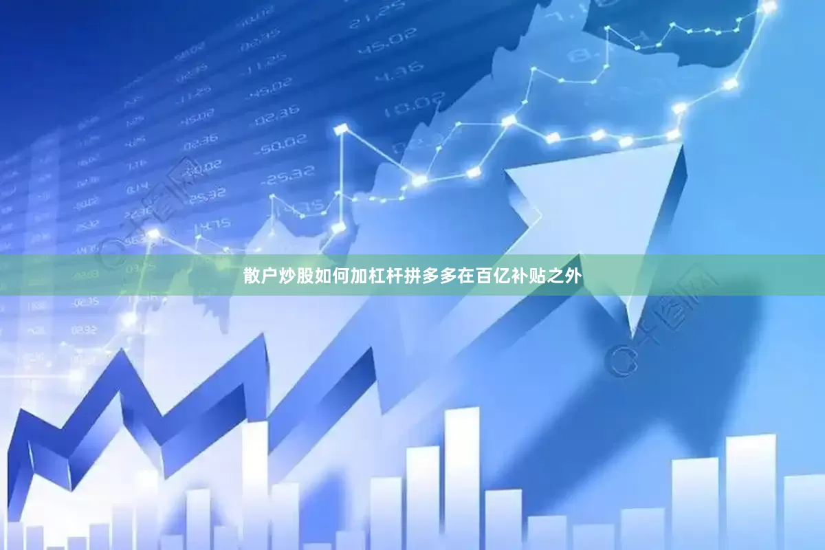 散户炒股如何加杠杆拼多多在百亿补贴之外